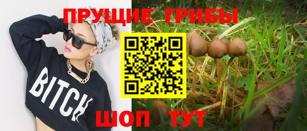 Галлюциногенные грибы мицелий  Вход с VPN  Краснокаменск  Галлюциногенные грибы мицелий 